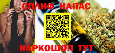 индика Новокубанск