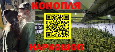 индика Новокубанск