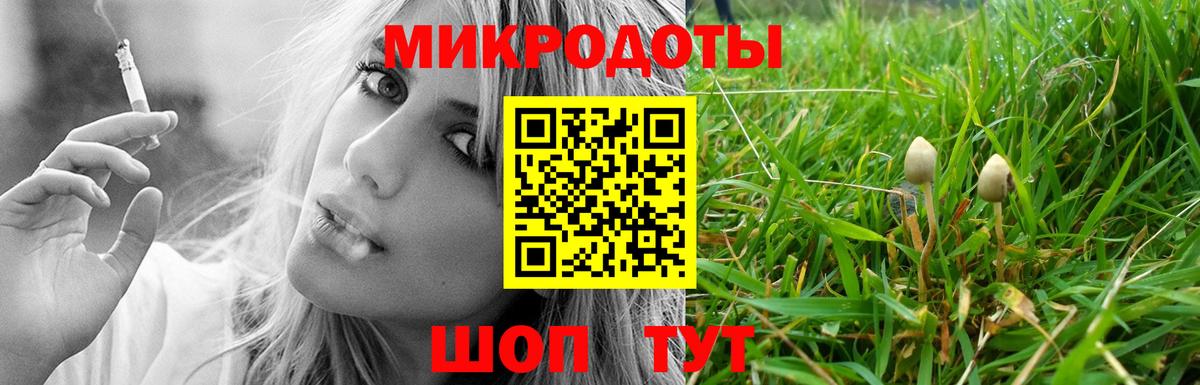 Сургут  Псилоцибиновые грибы Cubensis  Вход с VPN 