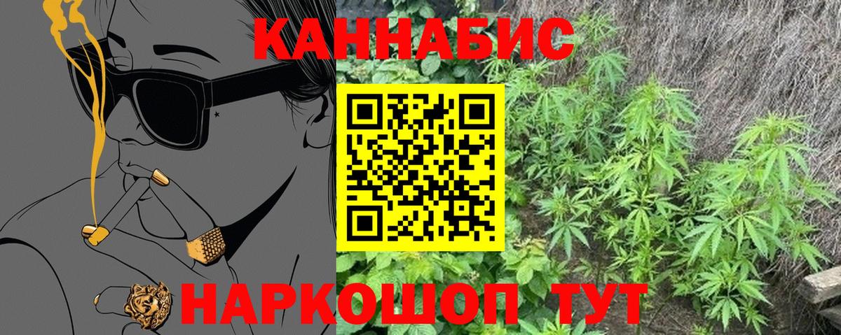 Сургут  Каннабис Amnesia  Вход с VPN  Конопля сатива  Бошки марихуана планчик 